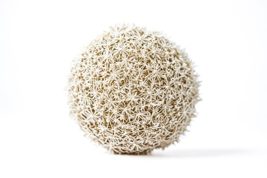 Closeup of a Dried Flower Ball photo