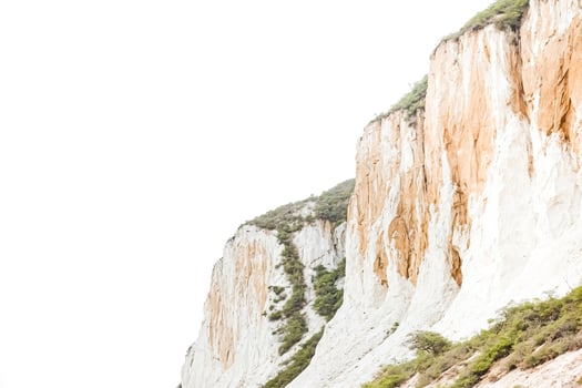 White Cliffs with Green Vegetation photo