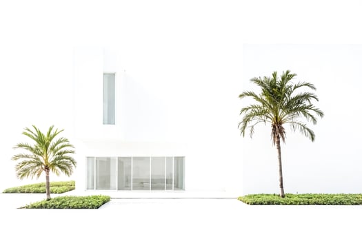 Minimalist white house with palm trees photo