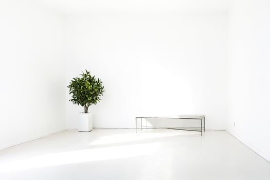 Minimalist Interior Design with Plant and Bench in White Room photo