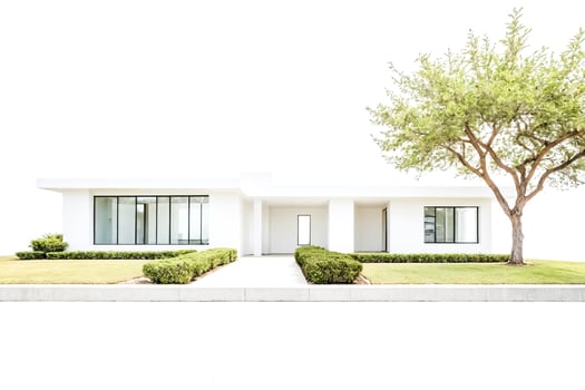 Modern white house with a green tree in front photo
