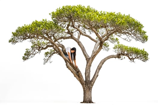 Woman climbing a tree photo