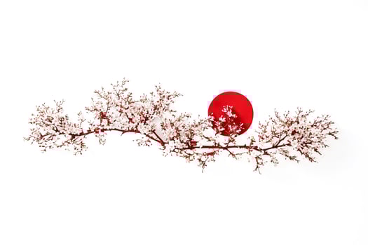 Cherry Blossom Branch with Red Circle photo