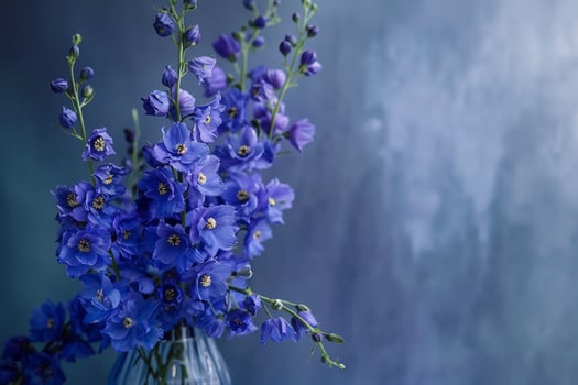 Blue flowers in a vase on a blue background photo