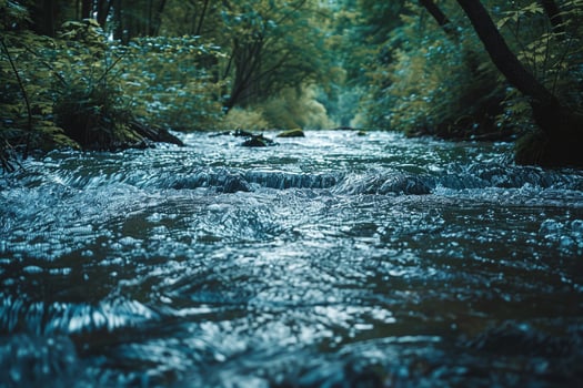 A River Running Through a Forest with Trees in the Background photo