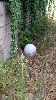 A white crystal sphere lying on the grass next to a wall. photo
