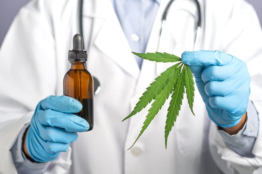 Doctor hand holding of a cannabis leaf and medical marijuana oil. Cannabis recipe for personal use, legal light drugs prescribe, alternative remedy or medication,medicine concept. Close-up photo