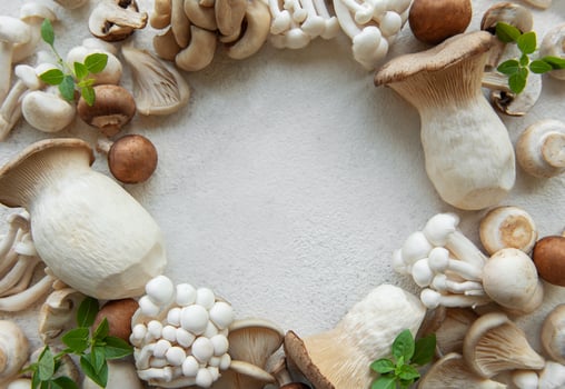 Assortment of various raw mushrooms photo