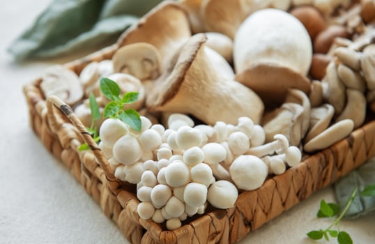 Assortment of various raw mushrooms photo