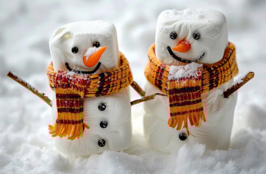 Marshmallow Snowmen In Winter photo