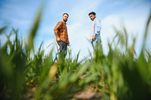 The concept of international relations in agrarian business. Indian and European farmers stand in a field of green wheat photo