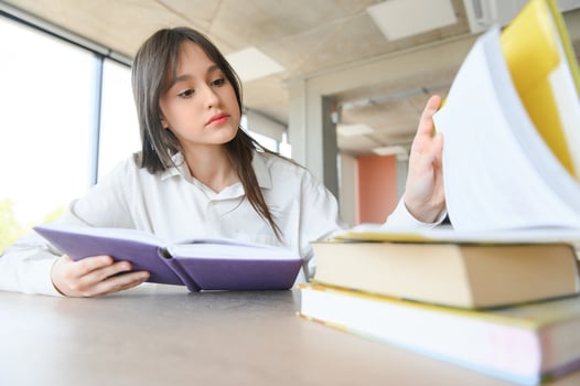 girl at the desk in school photo