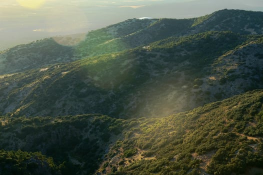 A stunning aerial view of sunlit rolling hills covered with lush green vegetation photo