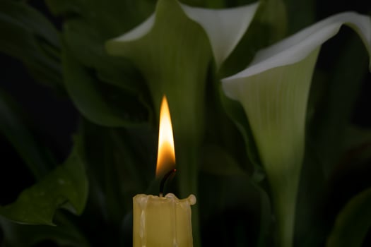 Burning wax candle and white calla lily flowers in darkness photo