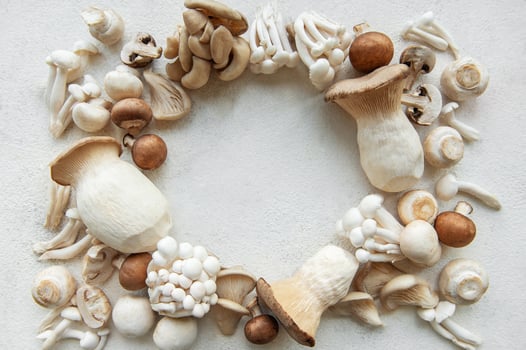 Assortment of various raw mushrooms photo