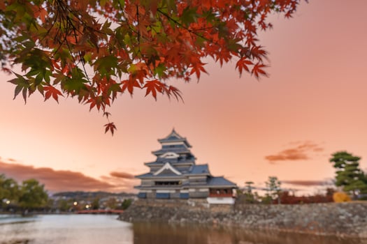 Matsumoto Castle or Crow Castle in Autumn, is one of Japanese premier historic castles in easthern Honshu. Landmark and popular for tourists attraction in Matsumoto city, Nagano Prefecture, Japan photo