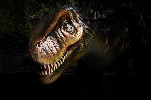 The head of dinosaur in the dark background photo