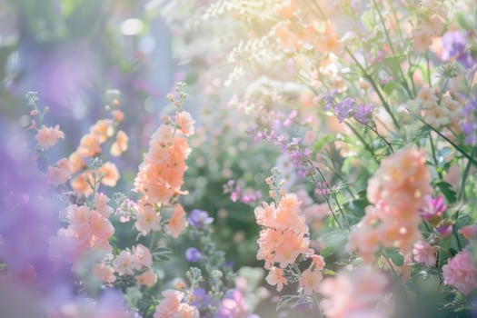 A dreamy pastel garden in full bloom photo