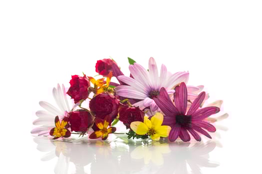 small bouquet of small multi-colored summer flowers photo
