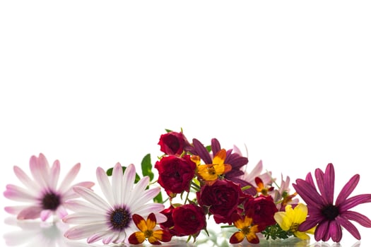 small bouquet of small multi-colored summer flowers photo