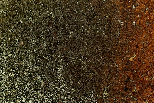 yellow brown safari texture, leopard print photo