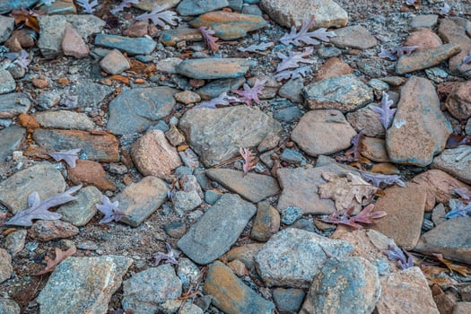 Autumn leaves on rocks photo