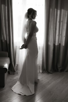 A woman in a wedding dress stands in front of a window. She is wearing a veil and a necklace photo