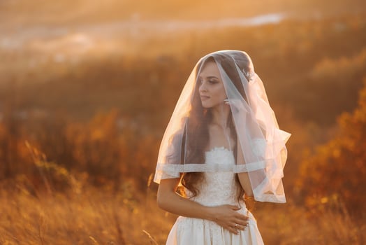 A woman in a wedding dress stands in a field with a veil covering her face. The scene is serene and peaceful, with the sun shining brightly in the background. The woman's veil adds a touch of elegance photo