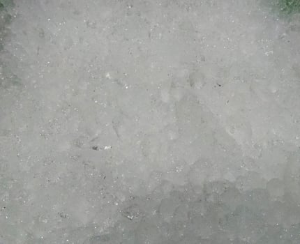 Shaved ice background photo
