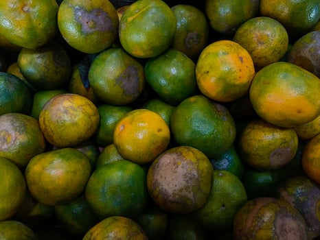 Stacks of orange fruits that look very fresh with a tasteful color at market outdoor photo