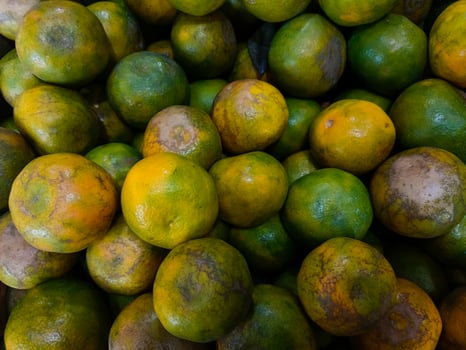 Stacks of orange fruits that look very fresh with a tasteful color at market outdoor photo