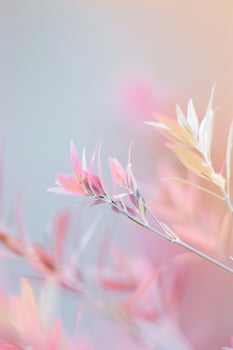 Delicate pink flower buds on a branch in soft light. Vertical floral background. photo