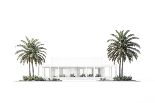 Minimalist Modern House with Palm Trees photo