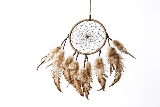 Beige Dreamcatcher with Feathers on White Background photo