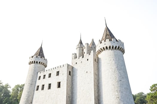 White Castle Towers Against White Sky photo