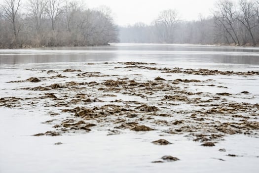 Frozen River With Muddy Bottom photo