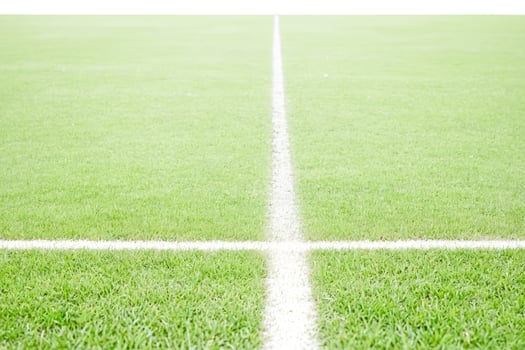 White Lines on a Green Field photo