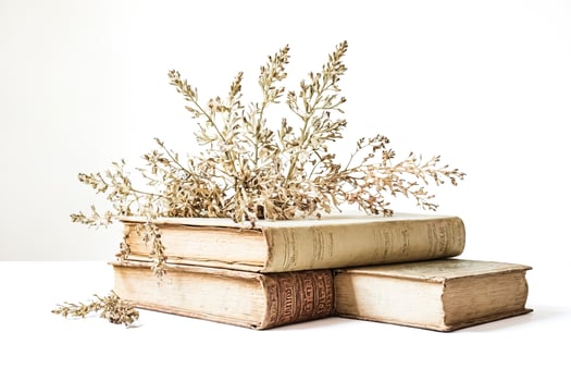 Dried Flowers on Antique Books photo