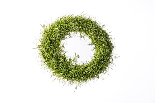 Green Grass Circle on White Background photo