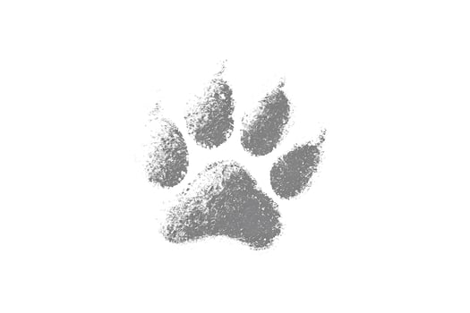 Grunge Grey Paw Print photo