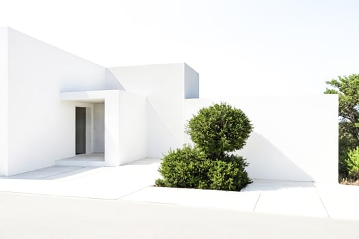 Minimalist White House with Green Bush photo