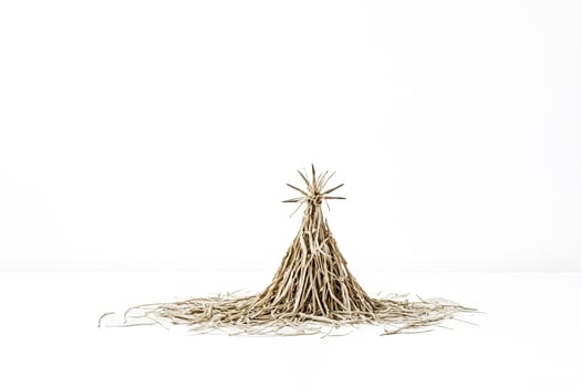 Abstract Dried Grass Structure photo