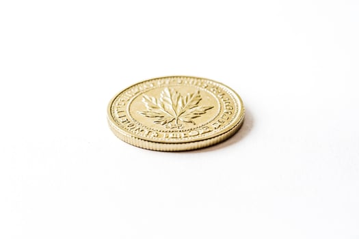 Closeup of a Canadian One Dollar Coin photo