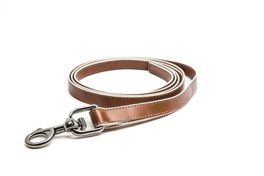 Brown leather dog leash with white stitching photo