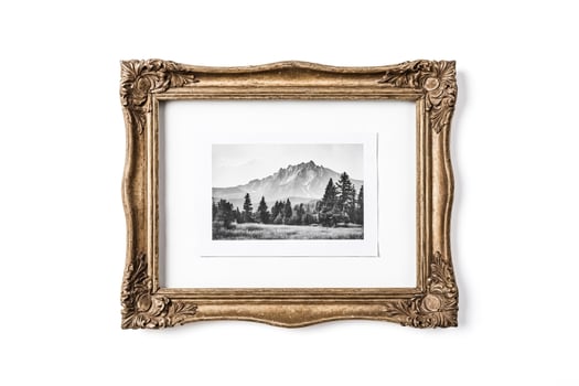 Antique Gold Frame with Black and White Mountain Photo