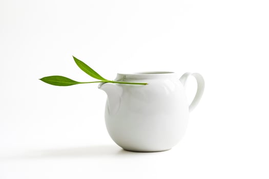 White ceramic jug with a green leaf photo