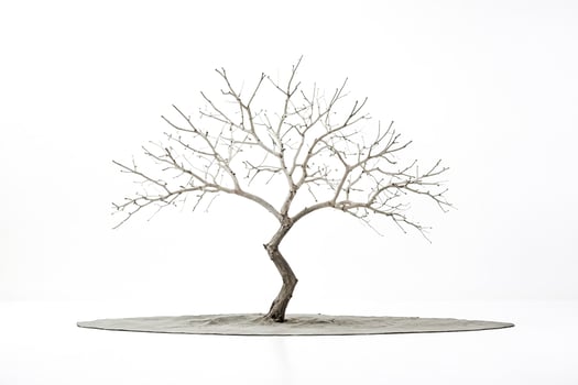 Bare Tree Branch with Grey Base photo