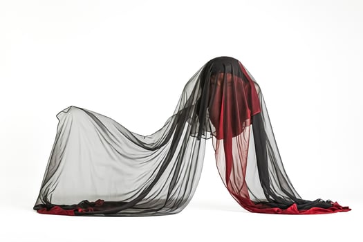 Black and Red Sheer Fabric Draped on a White Background photo