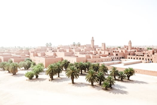Desert Oasis with Palm Trees and Mudbrick Buildings photo