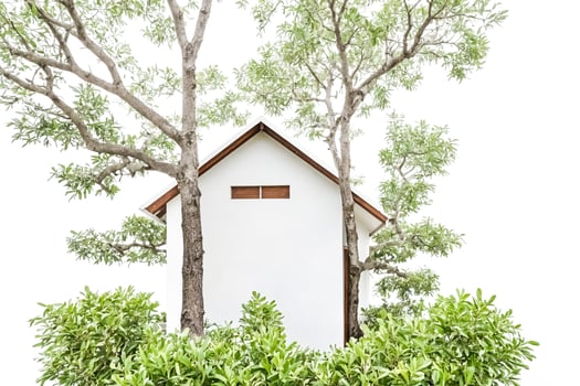 White Wall House with Green Trees and Leaves photo
